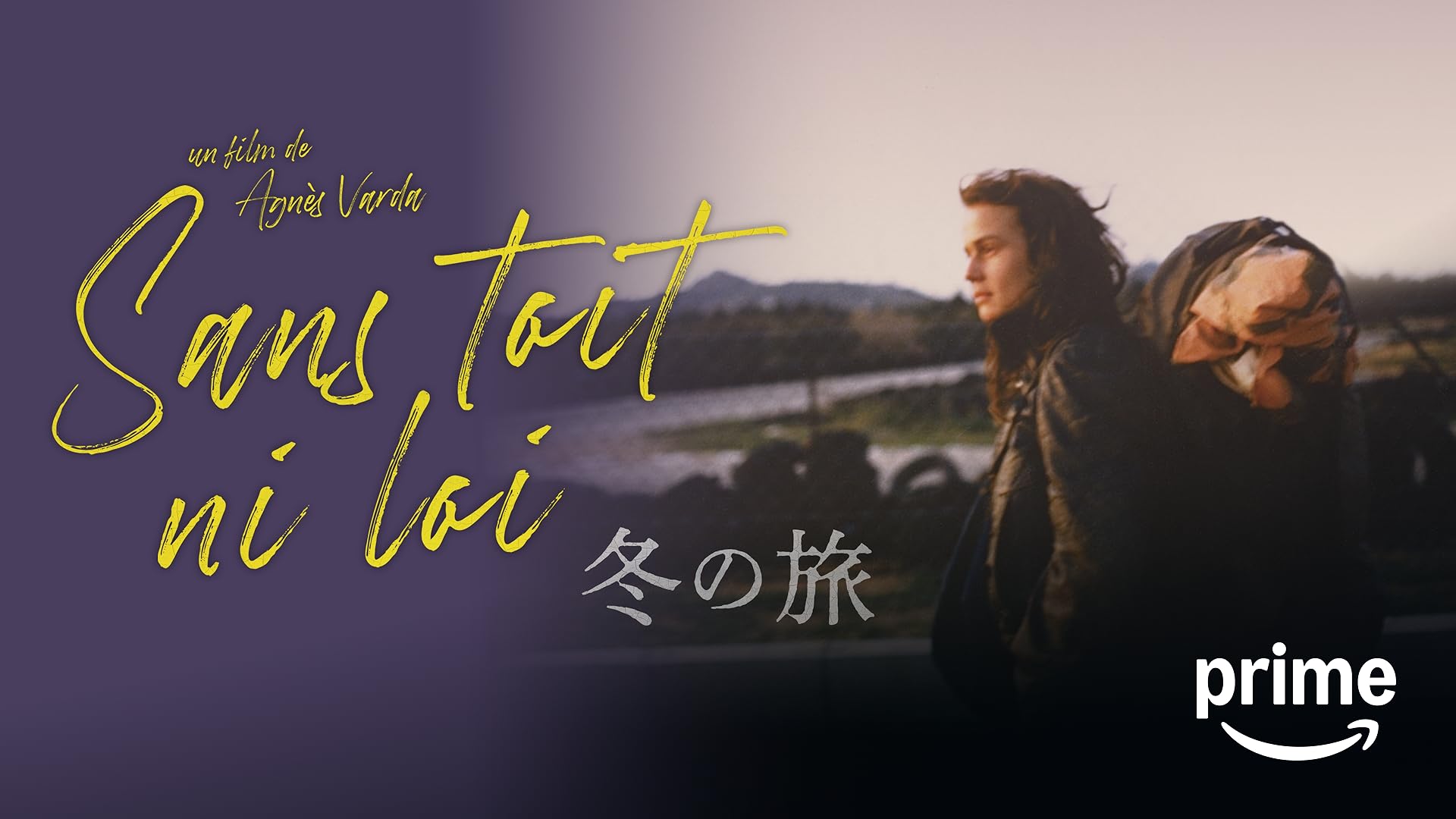 アニエスv.によるジェーンb. DVD アニエス-V.による　ジェーン-B-